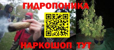 кокс Гусев