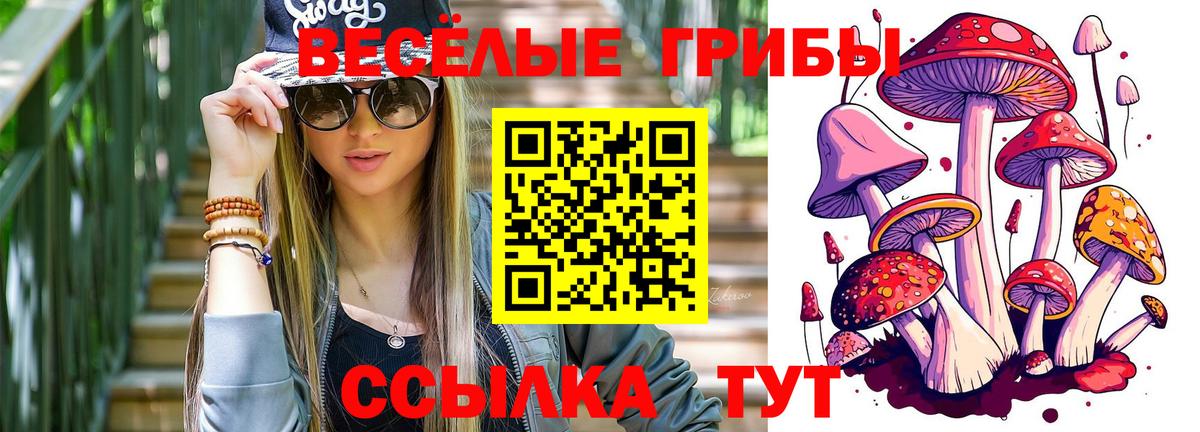 Туапсе  Галлюциногенные грибы Magic Shrooms  Галлюциногенные грибы мицелий  Вход с VPN 